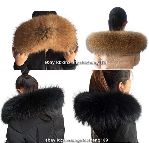 2026 real ussuri raccoon - ussuri, fur