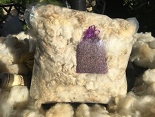 Cotswold Sheep Fleece First