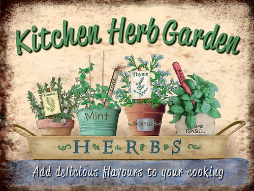 Kitchen herb garden - herb,