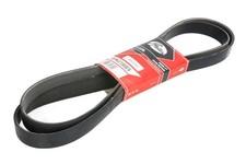 GAT multi - ribbed belt fits
