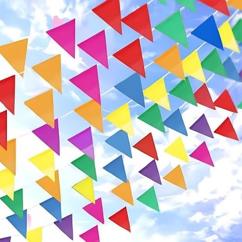Multicolour bunting 164ft 100 - multicolour,