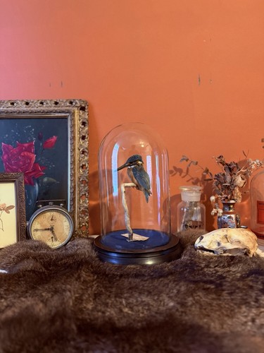 Antique 1884 victorian - antique,