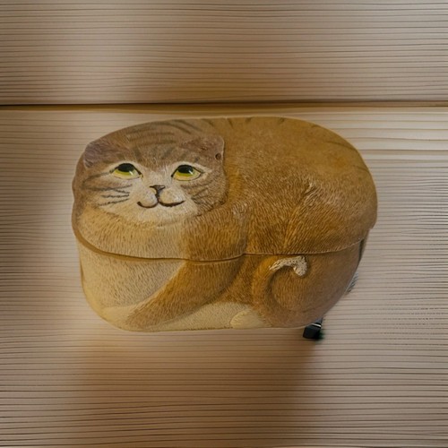Little ginger brown cat - little,