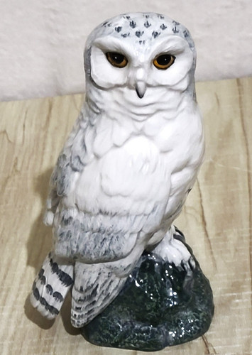 Royal doulton for whyte - doulton, &