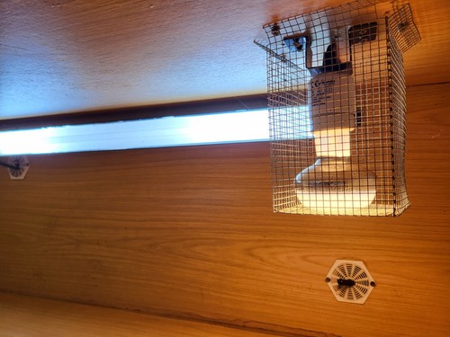 4ft vivarium tank - tank, with