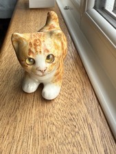 Winstanley Ginger Tabby Cat