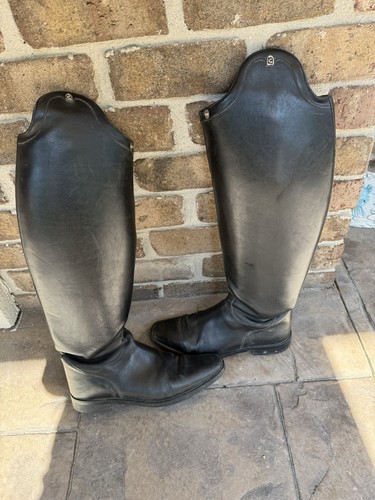 Cavallo english riding tall - english,