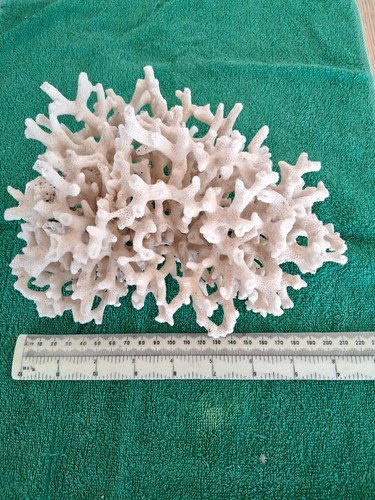 Marine fish tank ornamental - marine,