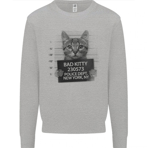 Bad kitty new york - bad, police