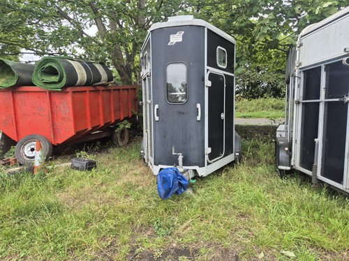 Ifor williams hb511 - williams, horse
