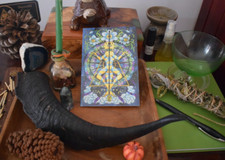 Greeting Card & Envelope