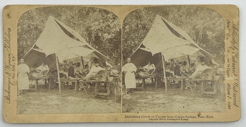 1900 puerto rico stereoview - 1900,