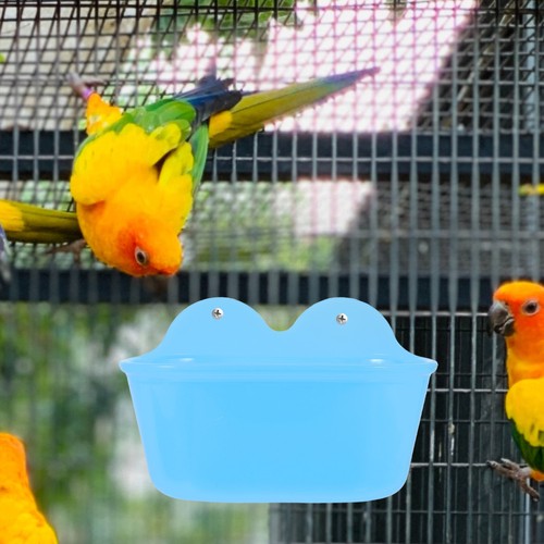 Parrot bird bath - parrot, feeder