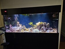 5ft Marine Tank Full Set Up