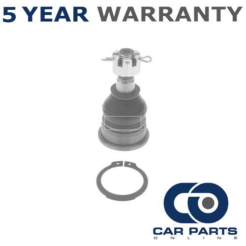Ball joint front lower - front, cpo