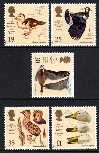 1996 wildfowl and - 1996,
