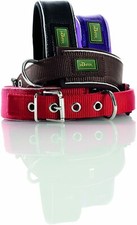 Hunter dog collar - hunter,