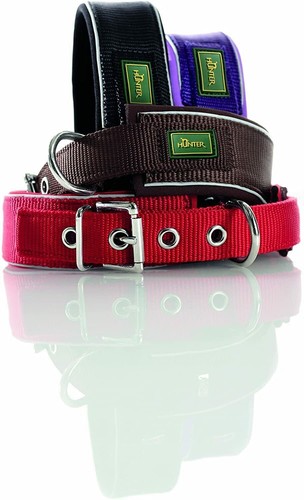 Hunter dog collar - hunter,