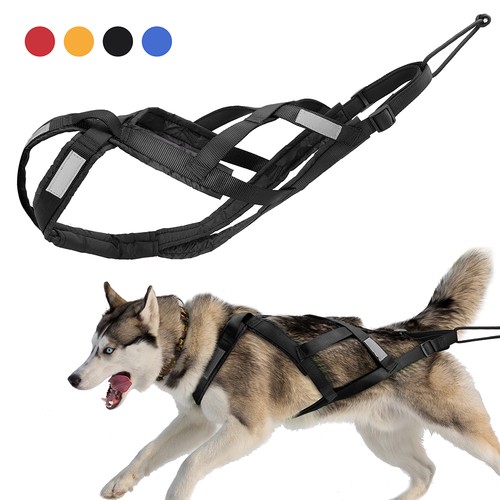Strong dog sled - strong, harness