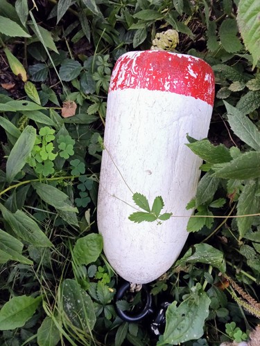 Lobster buoy weathered - buoy,