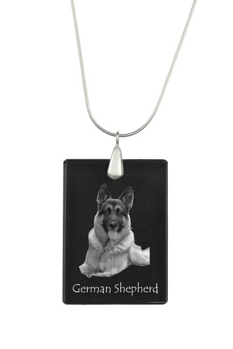 German shepherd dog alsatian - shepherd,