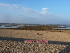 PHOTO  HURST SPIT DOG WALKERS