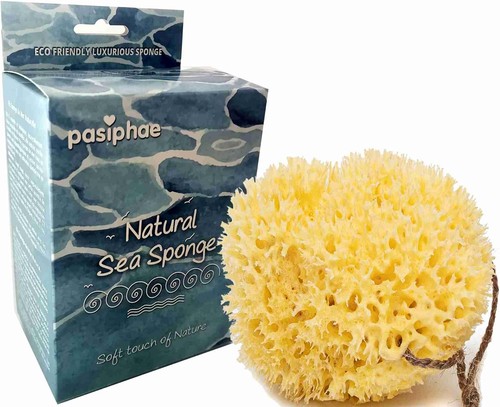 Pasiphae natural bath sea - pasiphae,