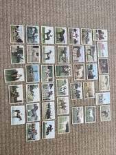 THE HORSE Trading Cards By