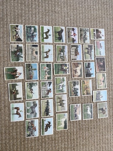 The horse trading cards - the,
