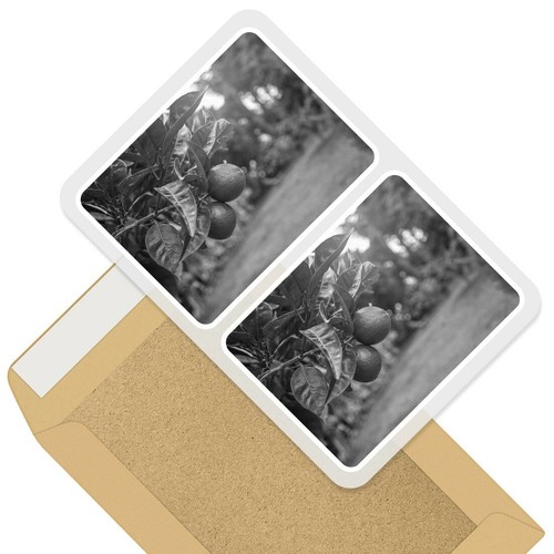 Rectangle stickers 10cm bw - x,