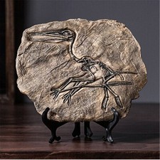 Genuine Sinosauropteryx Fossil