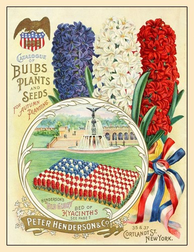 Seed catalogue vintage - vintage, tree