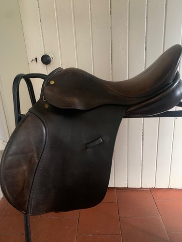 English leather pony - english,