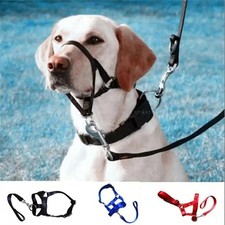 Headcollar Non Pull Dog Head
