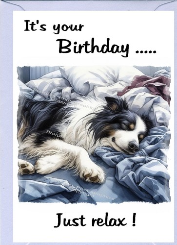Border collie dog sheepdog - border,