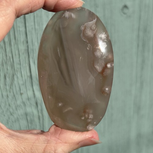 Flower agate palm stone - agate,