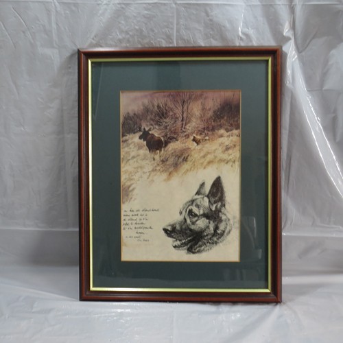 Vintage framed german shepherd - vintage,