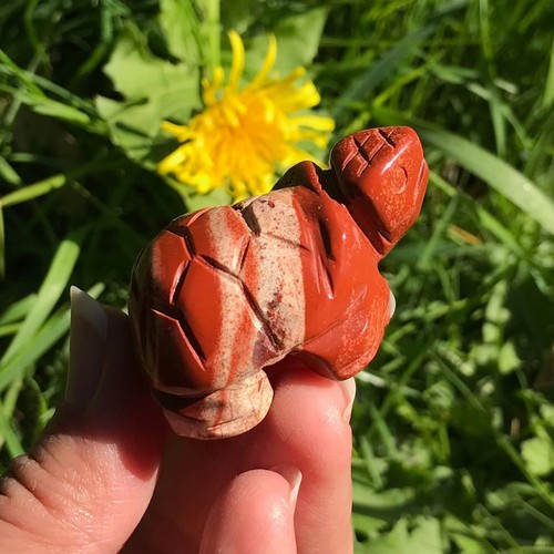 Adorable red jasper turtle - adorable,