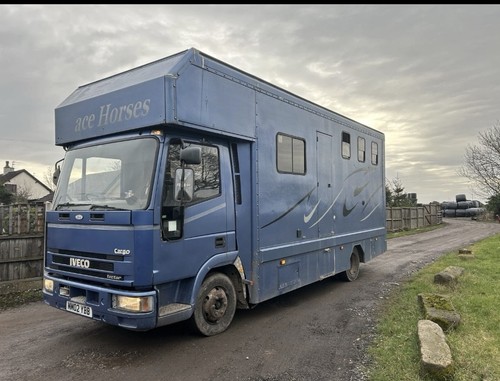 Ton iveco horsebox with - iveco,