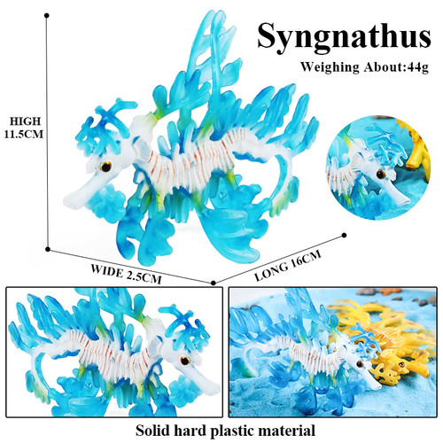 Oenux ocean animals model - animals,