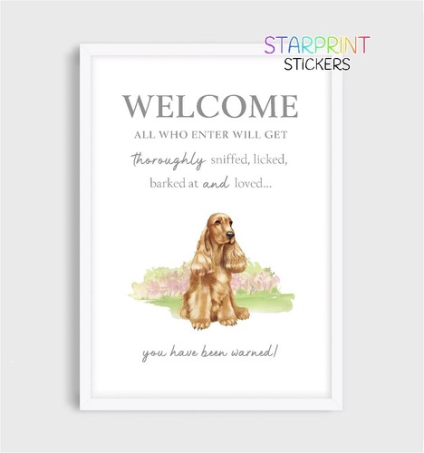 Cocker spaniel - cocker,