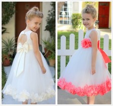 Rose Petals Lace Heart Cutout