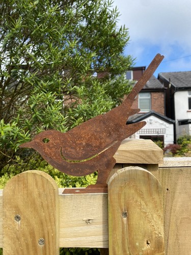 Rusty bird fence - bird,