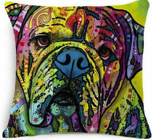 English bulldog mastiff bully - english,