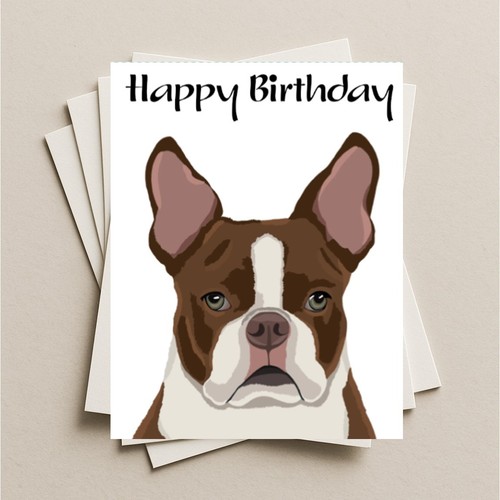 Brown boston terrier dog - brown,