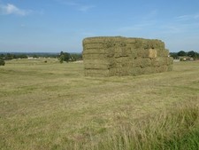 Photo 6x4 Hay bales on Malvern