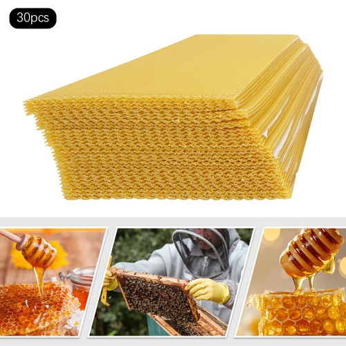 30pcs beehive frames coated - beehive,