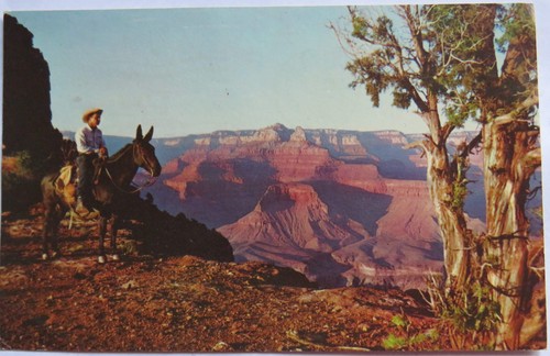 Vintage postcard grand - vintage, of