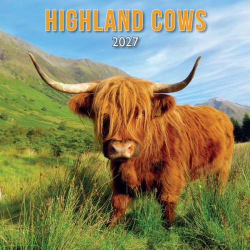 Highland cow calendar - cow, 2026
