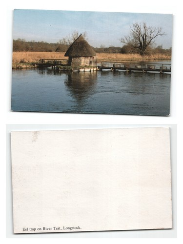 Postcard eel trap on - trap,